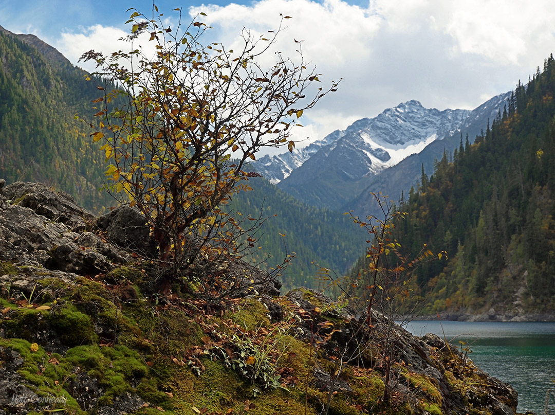 Jiuzhaigou long lake landscape scene