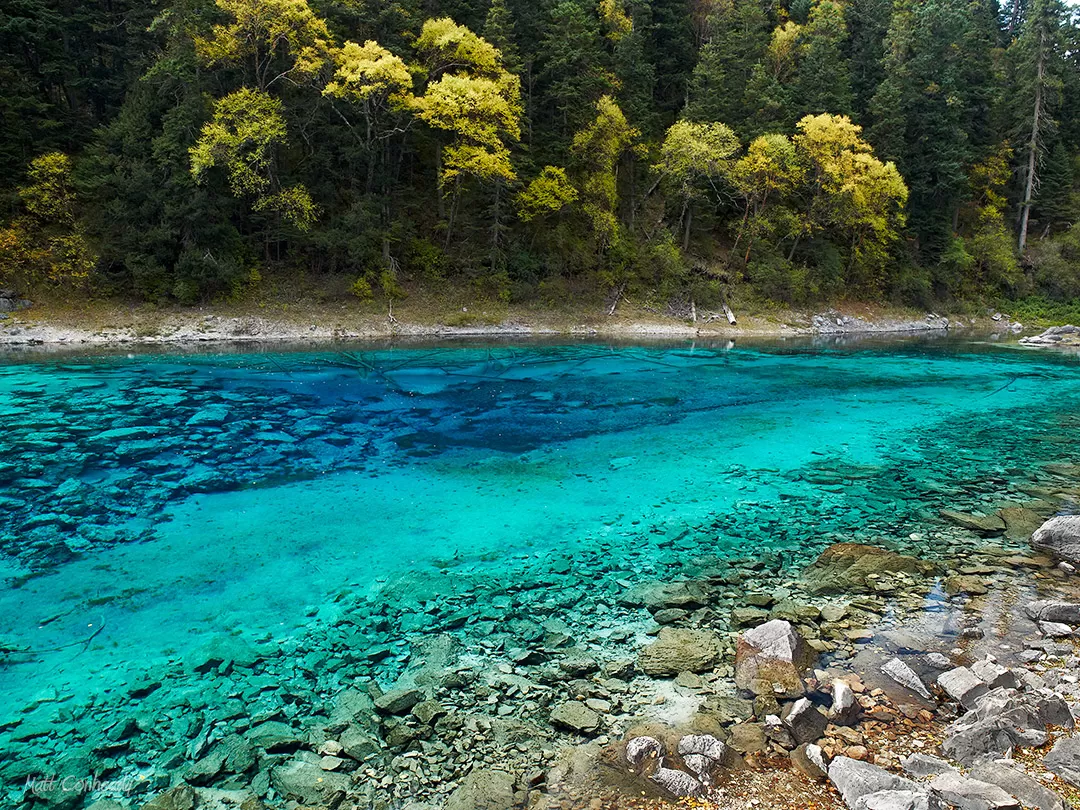 Five Colored Pool at Jiuzhaigou