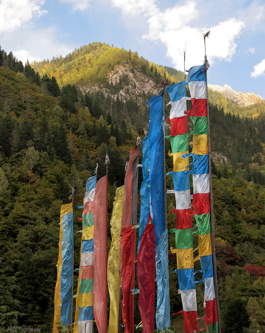 tibetan vertical flags