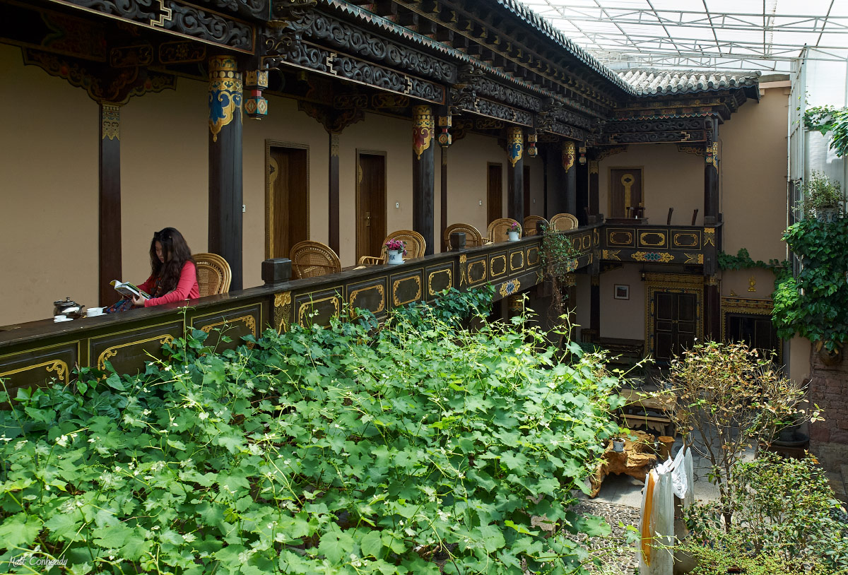 tibetan restaurant, shangrila