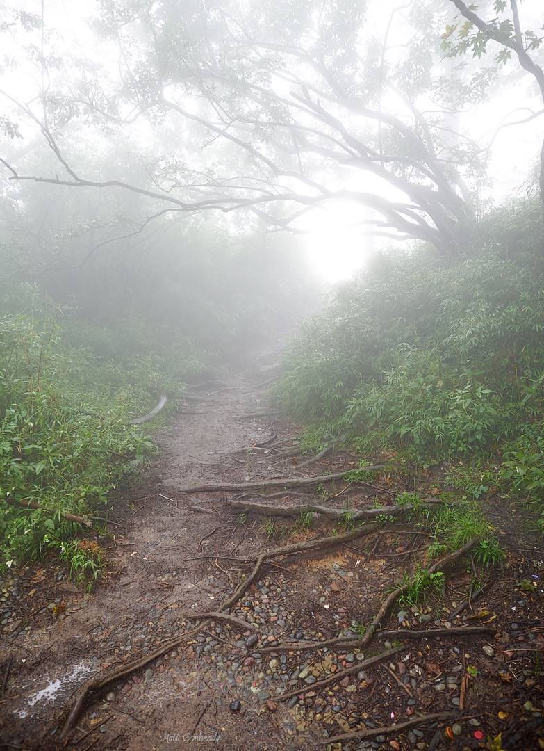 Mt Emei off the main trail