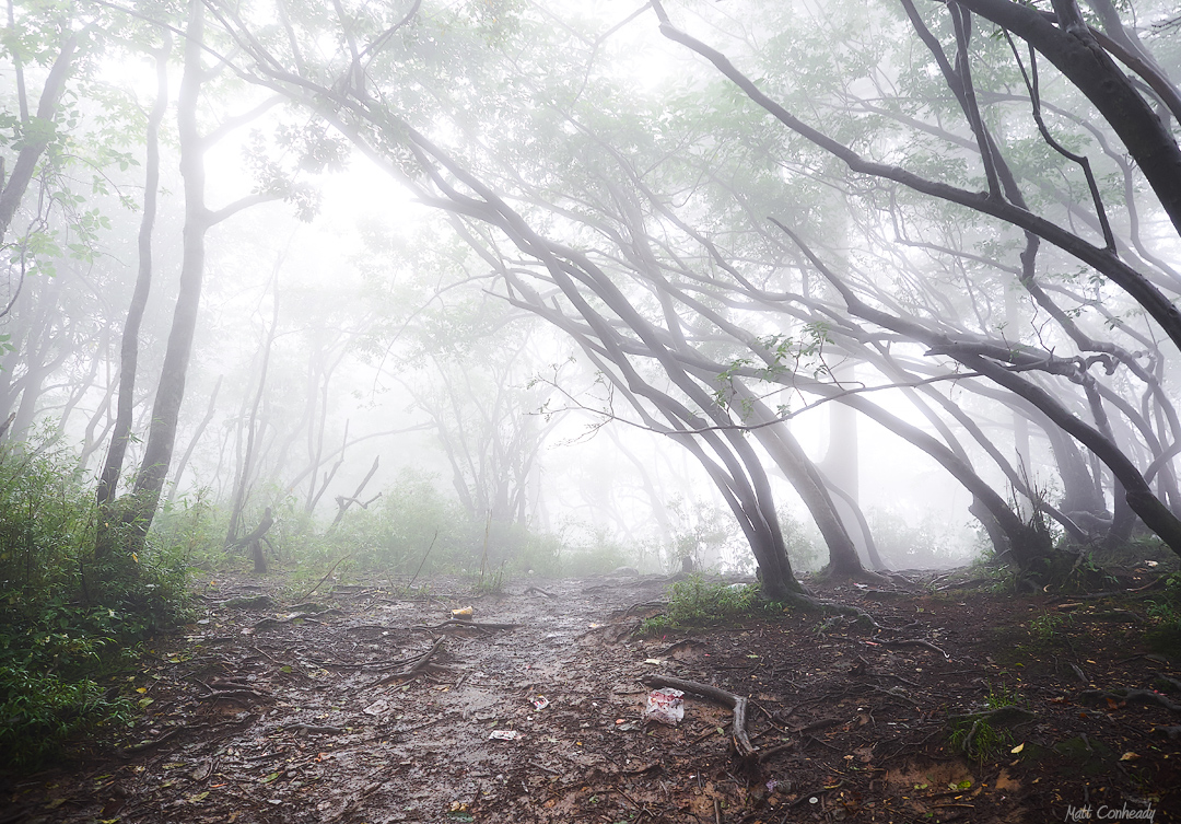 Mt Emei in rain