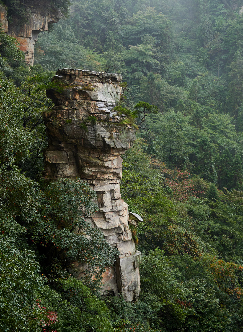 Zhangjiajie mountain pillar rising from the trees