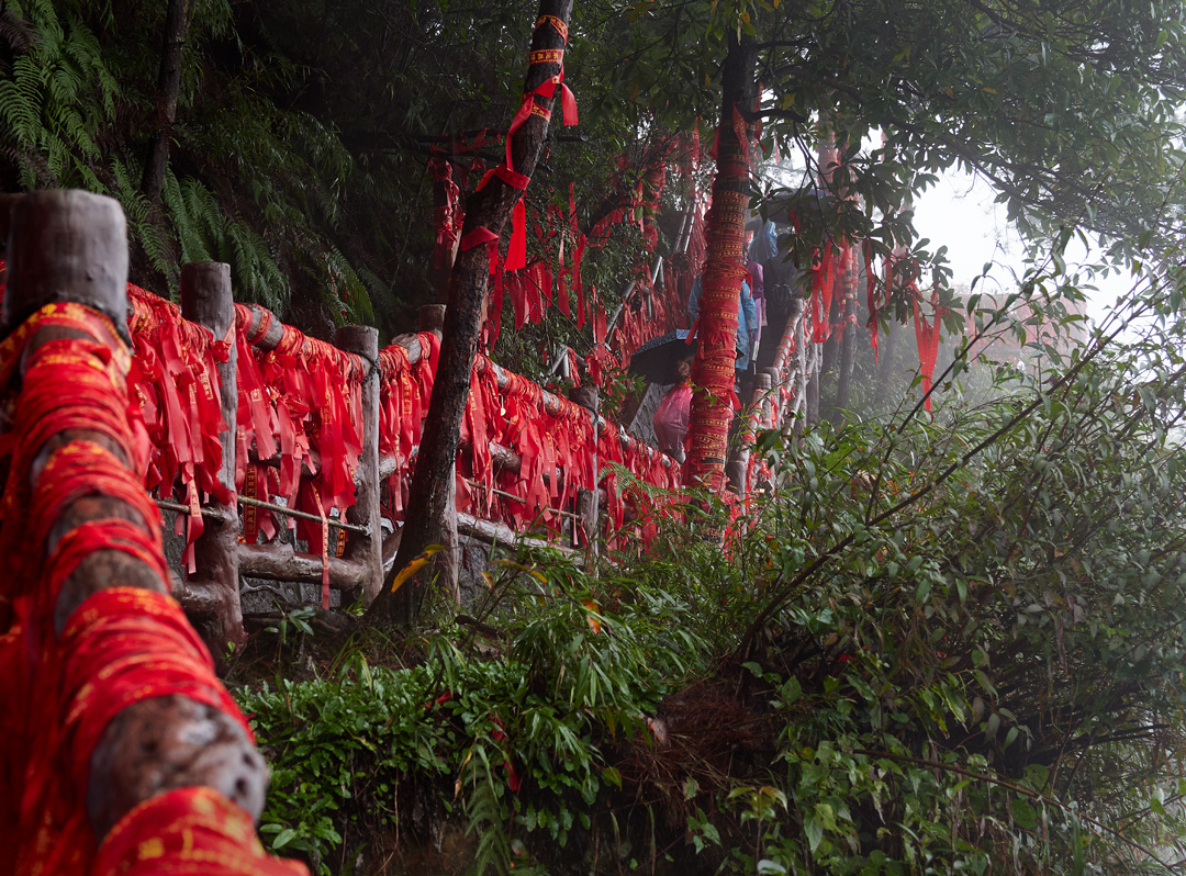 Red ribbons tied to trees along the Catching the Stars trail in Zhangjiajie