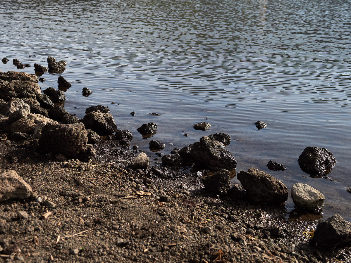 shoreline of Lake Kawaguchi