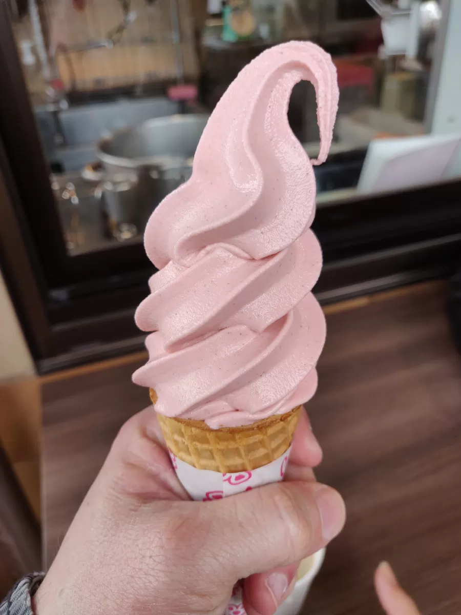 sakura, cherry blossom ice cream, kyoto