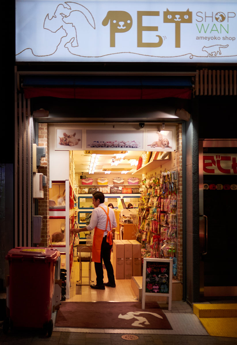 Pet shop in Shinjuku, Tokyo, Japan